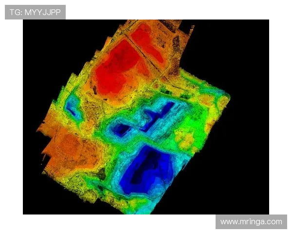 无人机在测绘中的三维点云数据