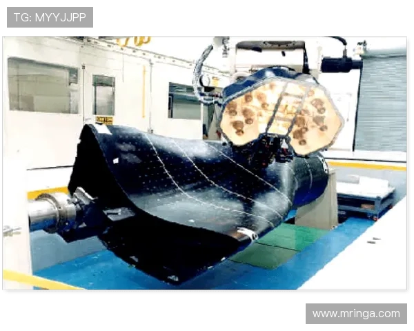 战斗机座舱盖的耐冲击复合结构