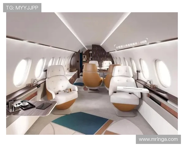 飞机客舱内饰材料的抗菌等级评价