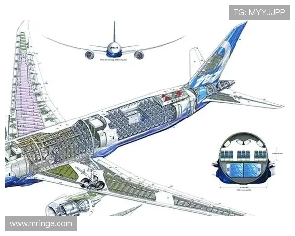 飞机机翼结构的损伤容限优化设计